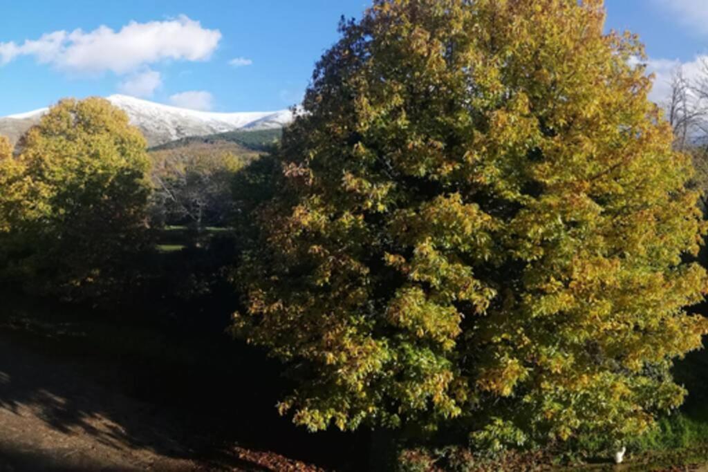 Apto. Rural Las Candelas. La Covatilla Leilighet Candelario Eksteriør bilde