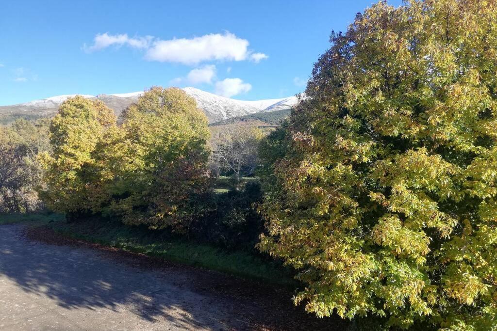 Apto. Rural Las Candelas. La Covatilla Leilighet Candelario Eksteriør bilde